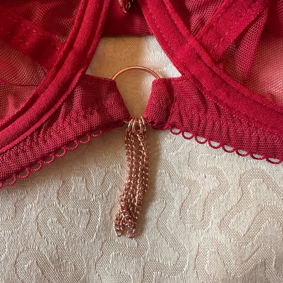Scantilly unchained sheer plunge bra in deep red size 34FF 34H - Picture 7 of 11